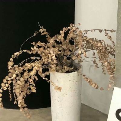 Furry插画细节设计FurryQQ群